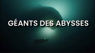 LE GIGANTISME des Abysses pourquoi les grands fonds engendrent des géants [upl. by Norad]