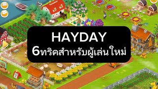 HAYDAY6ทริคสำหรับผู้เล่นใหม่ [upl. by Arvind658]