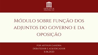 Módulo sobre função dos adjuntos do Governo e da Oposição  Arthur Gandra [upl. by Foushee287]