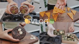 ENG 베이킹 영상 모음집🍪 1편ㅣ효뎡VLOGㅣ마들렌 쑥 휘낭시에 브라우니 초코 버터링 쿠키 스모어쿠키 황치즈쿠키 눈알 쿠키 초코나무 숲 머핀 플레인스콘 [upl. by Jolene]