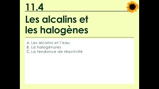 114  Les alcalins et les halogènes [upl. by Ahsemal]