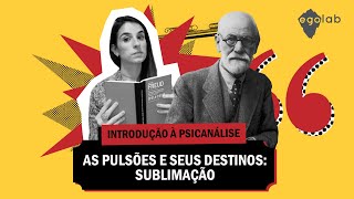 Destinos da Pulsão  Sublimação  Psicanálise [upl. by Schalles]