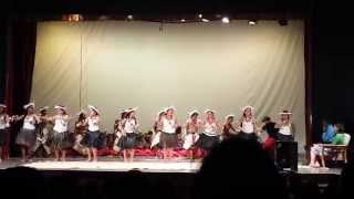 KISAModern Traditional danceUSP cultural night 2014 [upl. by Troxell]