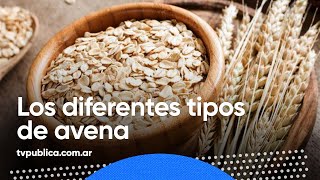 Propiedades y beneficios de la avena  En Casa Salud [upl. by Budworth]