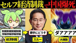 【爆散】処理水放出で中国が日本に経済制裁！のはずが…【ずんだもんampゆっくり解説】 [upl. by Sweeney72]