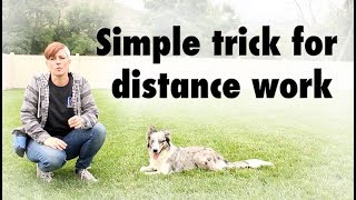 Kikopup trick for DISTANCE WORK  Dog Training [upl. by Ittocs]