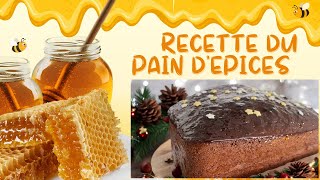 En colère  On sest fait volé  Et recette de Noël 1  le pain dépices facile et savoureux [upl. by Ronoel535]