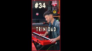 34 🔥❤️🎹 Trinidad Minienganchado🎶 [upl. by Auka]