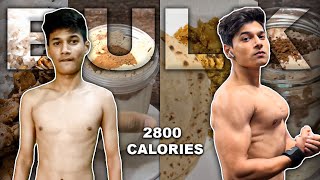 High Protein Meal Ideas for Bulking  2800 calories  200g Protein [upl. by Euqinot]