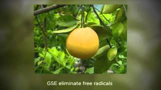 Medicinal Uses of Grapefruit Seed Extract [upl. by Christina870]