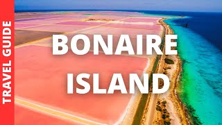 Bonaire Island Travel Guide 14 BEST Things To Do In Bonaire Island Carribean [upl. by Flaherty]