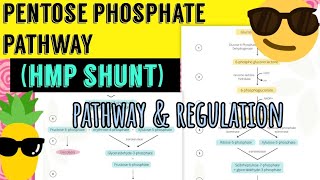 Pentose phosphate pathway HMP shunt Pathway ampRegulation 😎 [upl. by Terina]