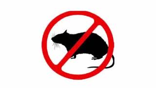 Mouse amp Rat Ultrasonic Deterrent  Cat sounds to scare mice away Rat distress call  Sound Mice Hate [upl. by Yrrak]