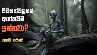 පිටසක්වල ජීවය පිළිබද සාක්ෂි හමුවෙයි  Evidence of Life in Outer Space [upl. by Ynaittirb]