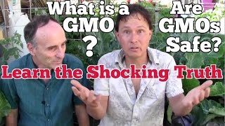 Whats a GMO Are GMOs Safe Learn the Shocking Truth [upl. by Ziom605]