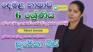 grade 6 lessons 14 lesson  tamil lessons 14 lesson 2024 tamil online class [upl. by Eldred]