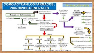 TEMA 3FARMACODINAMIA RECEPTORES FARMACOLOGICOS e introduccion a los AGONISTAS Y ANTAGONISTAS [upl. by Thaxter444]