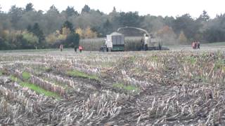 Krone Big X 1100 Teil 2 Jäger u Jagd [upl. by Inamik]