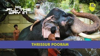 Thrissur Pooram The Mother Of All Festivals  101 All The Way In  Unique Stories From India [upl. by Yonah139]