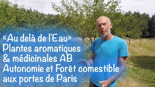 Plantes aromatiques amp médicinales AB AUTONOMIE et FORÊT COMESTIBLE aux portes de PARIS [upl. by Drallim]