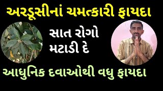 અરડૂસીનાં ચમત્કારી ફાયદા  પોણો ડઝન રોગો તાત્કાલીક મટાડી દે  અરડૂસી ના પાન નો ઉપયોગ [upl. by Eidderf]