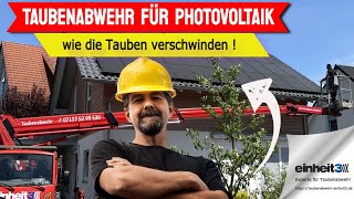 Taubenabwehr für Photovoltaik wie die Tauben dauerhaft verschwinden [upl. by Roslyn]