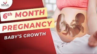 6 Month Baby Growth amp Movements Inside The Womb  Fetal Development In 6 Month Of Pregnancy  Mylo [upl. by Kilam452]