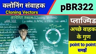 Cloning Vacters pBR322 क्लोनिंग संवाहक pBR322 [upl. by Adelind]