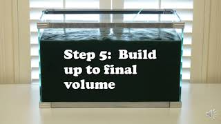 Grow your own Spirulina step by step [upl. by Byron67]