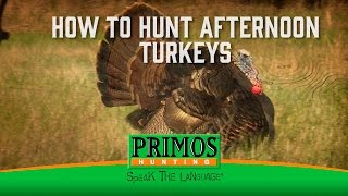 How to Hunt Afternoon Turkeys [upl. by Amlez706]