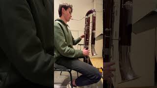 contrabassoon solo in a symphony orchestra [upl. by Jeannette]