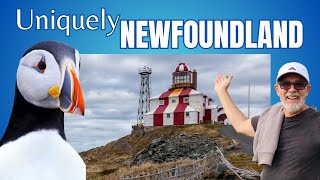 Discover Newfoundlands HIDDEN GEMS on this Epic Road Trip Eps 3 [upl. by Hilario]