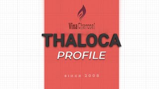 VINACHARCOAL PROFILE  a brand of Thang Long Capital JSC [upl. by Vizzone]