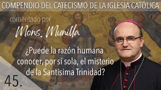 nº45 ¿Puede la razón humana conocer por si sola el misterio de la Santísima Trinidad [upl. by Nahtam693]