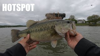 2020 Spring Potomac River Bass Fishing [upl. by Ailyt20]