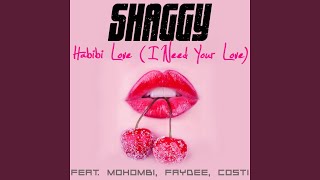 Habibi Love I Need Your Love [upl. by Emarej762]