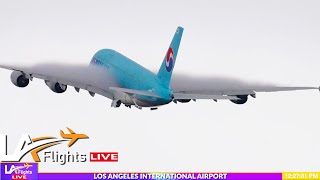 🔴LIVE LAX Airport  LAX LIVE  LAX Plane Spotting [upl. by Mick]