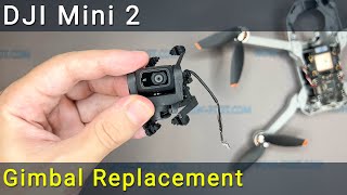 DJI Mini 2 Gimbal Replacement Disassembly Repair and Reassembly included [upl. by Jovi244]