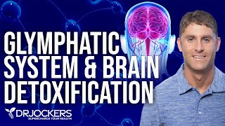 The Glymphatic System and Brain Detoxification [upl. by Crow]