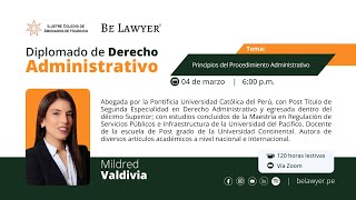 3 Principios del Procedimiento Administrativo [upl. by Kassia956]