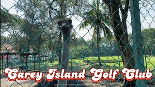 Ada Golf Club kat Carey Island Pulau Carey Selangor  Bukan Amverton Cove… [upl. by Geis]