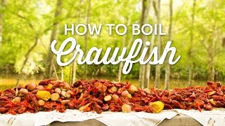 How to Boil Crawfish  Louisiana Recipe  BBQGuyscom [upl. by Stig]