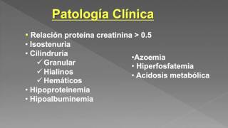 4 RENAL Glomerulopatias [upl. by Aracahs]