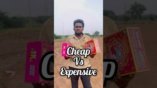 Cheap VS Expensive youtubeshorts shortsfeed diwali festival challenge entertainement shorts [upl. by Shell46]