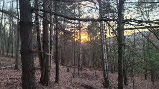 2022 PA Deer Season Self Filmed Deer Down [upl. by Aylatan]