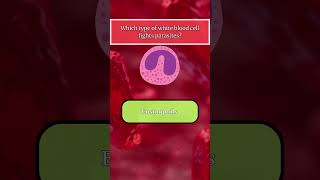 Hematology Quiz hematology biology labscience healthcare premed medstudent medschool [upl. by Earleen387]