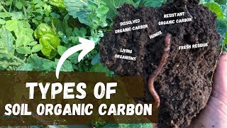 Types Of Soil Organic Carbon  Regenerative Agriculture [upl. by Placido163]