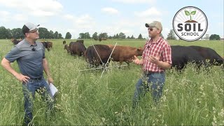 Soil School Rotational grazing with Aaron Bowman [upl. by Naihtniroc]