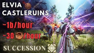 BDO Elvia Castleruins  306 AP Succession Sage PvE  Arsha Lv2 23k Trashhour [upl. by Kcirdehs]