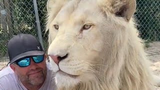 BIG CATS LOVE THIS MAN AMAZING [upl. by Jeane]